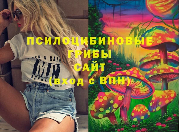 ПСИЛОЦИБИНОВЫЕ ГРИБЫ Аркадак