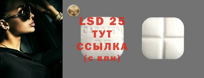 ПСИЛОЦИБИНОВЫЕ ГРИБЫ Аркадак
