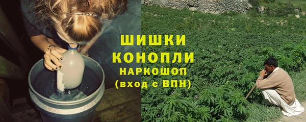 ПСИЛОЦИБИНОВЫЕ ГРИБЫ Аркадак